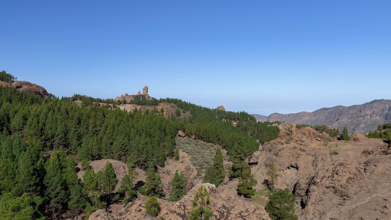 Photo of Others in Las Palmas de Gran Canaria