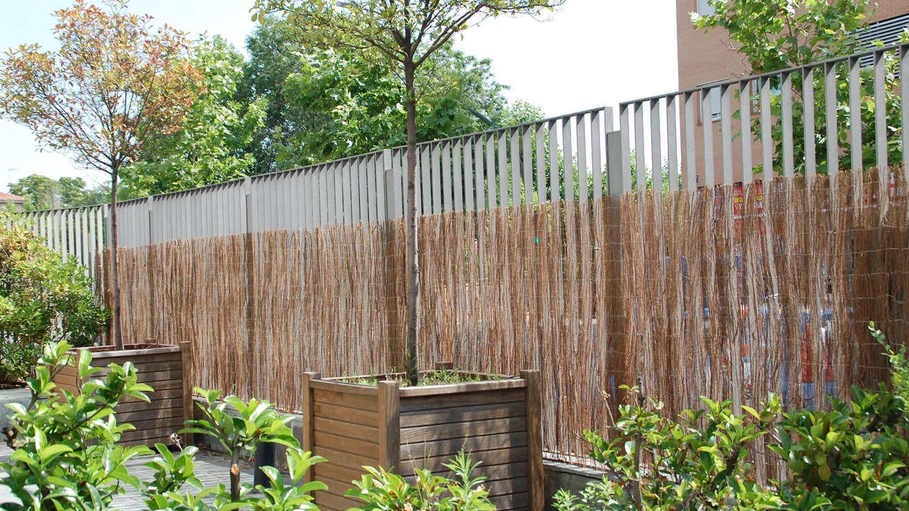 Photo of Outdoor in Buenavista