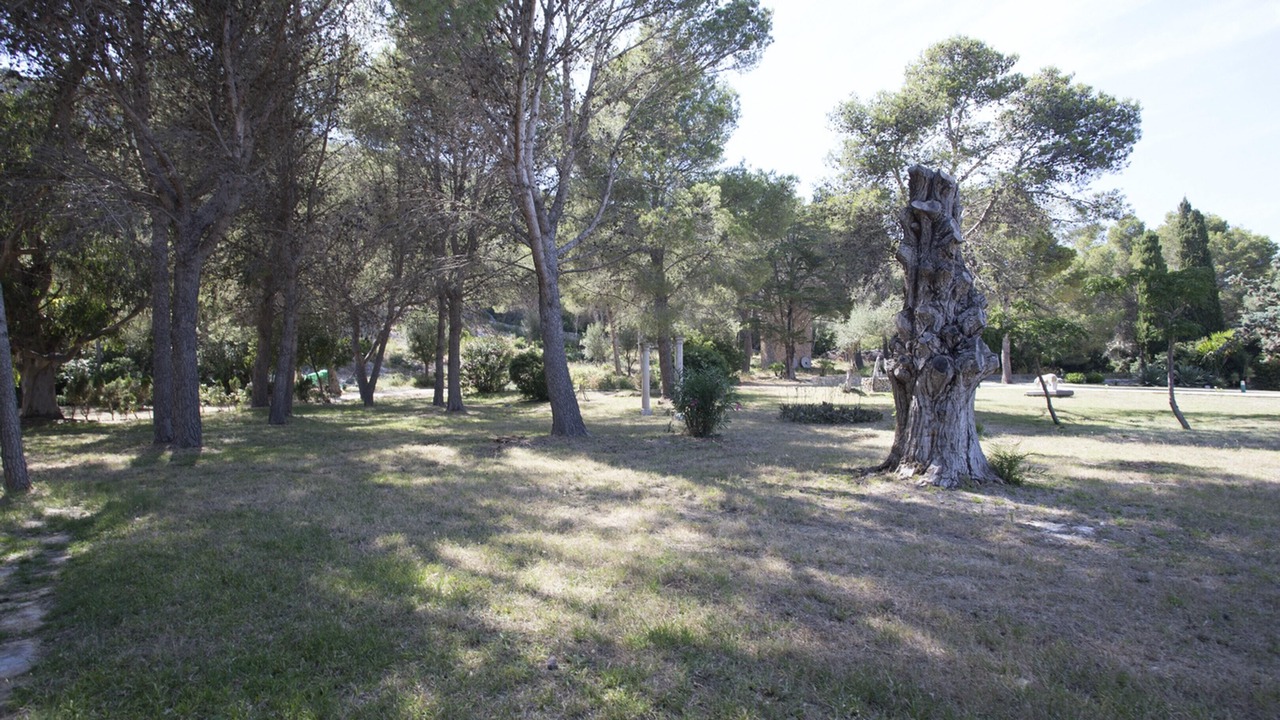Photo of Outdoor in Urbanitzacio Gotmar