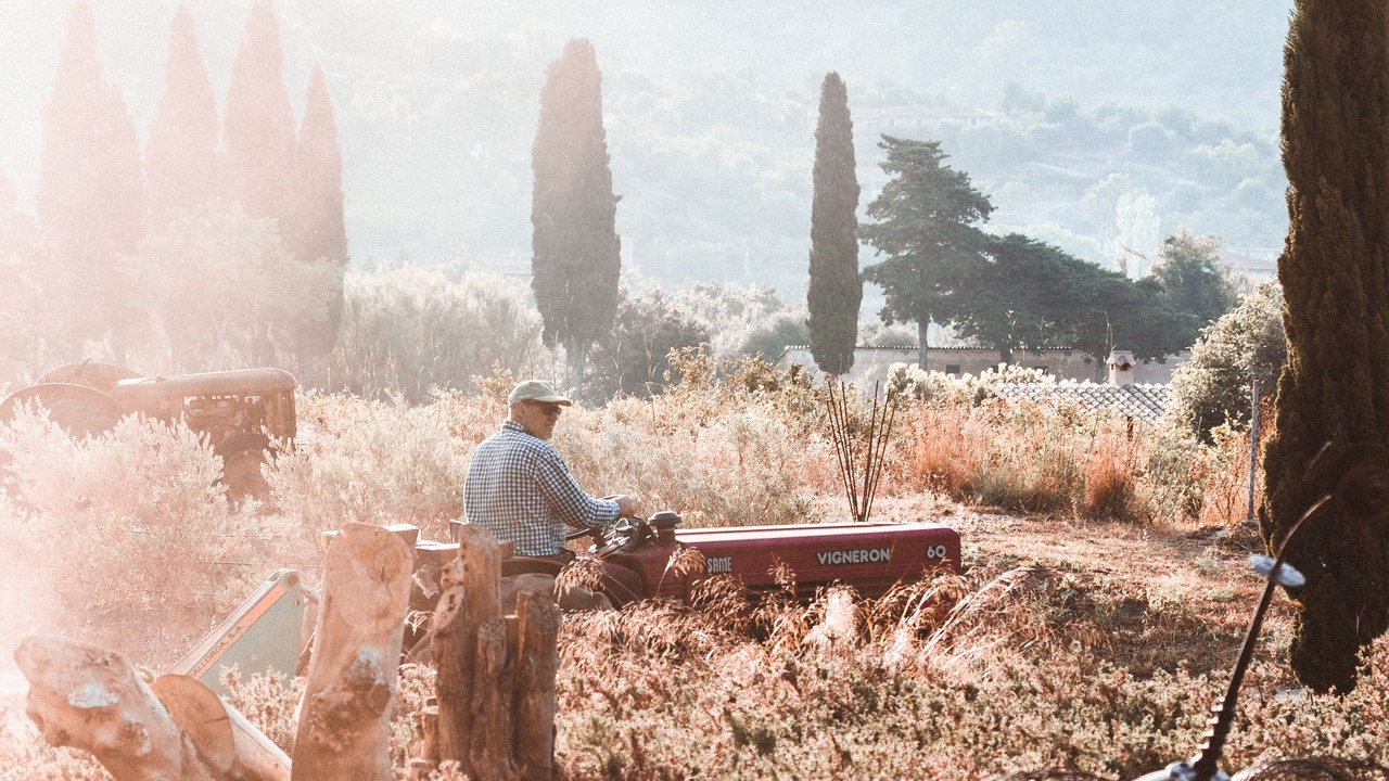 Photo of Outdoor in Soller
