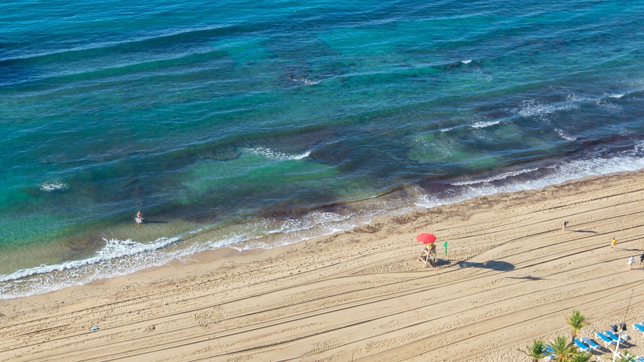 Photo of Others in Benidorm