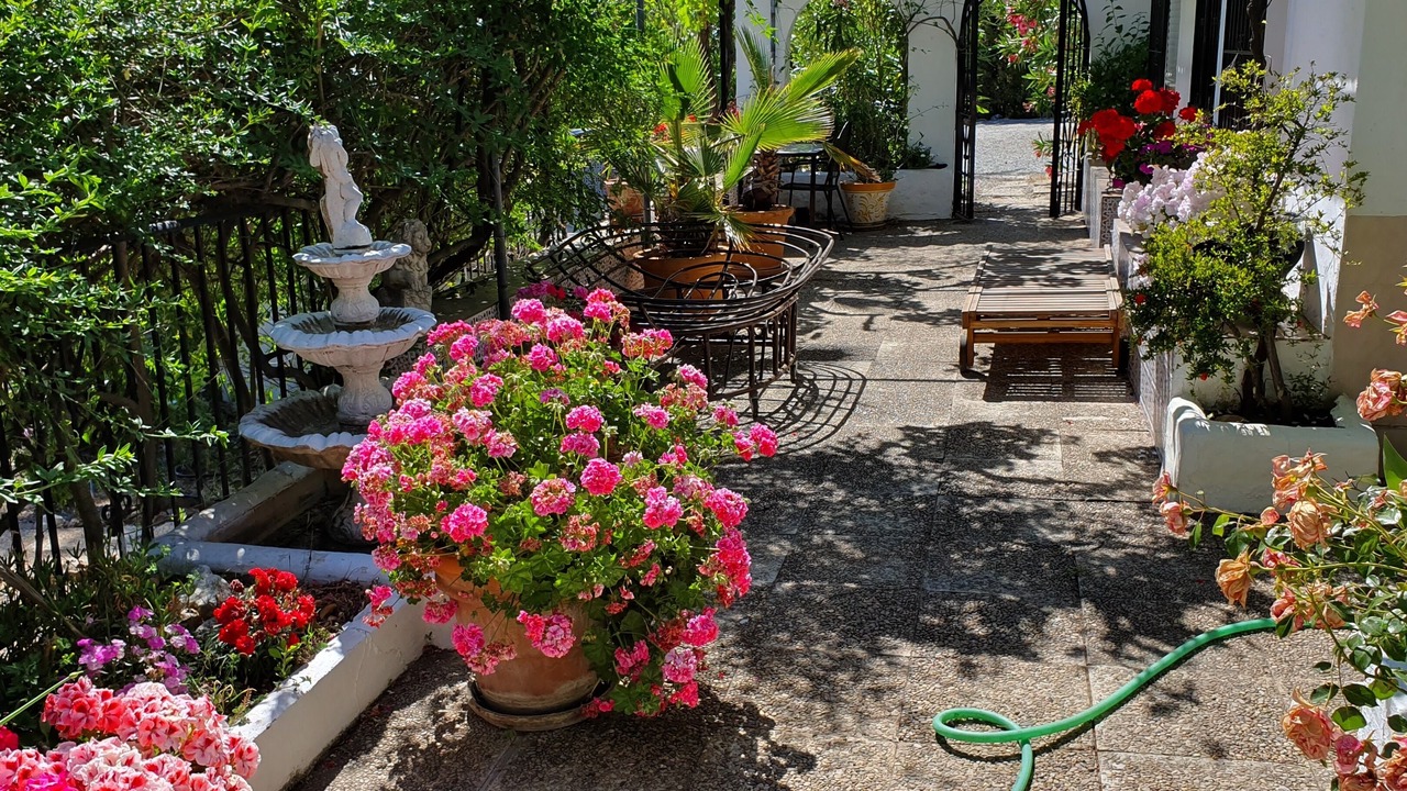 Photo of Patio Balcony in Salares