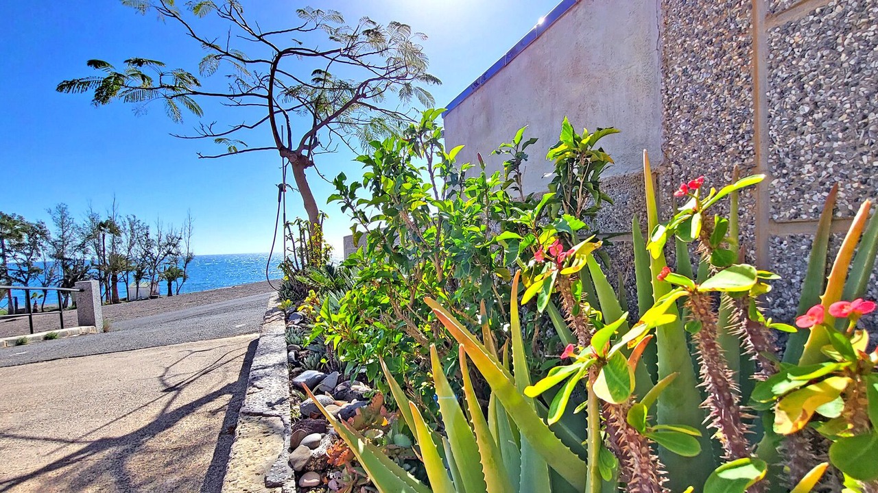 Photo of Outdoor in Pajara