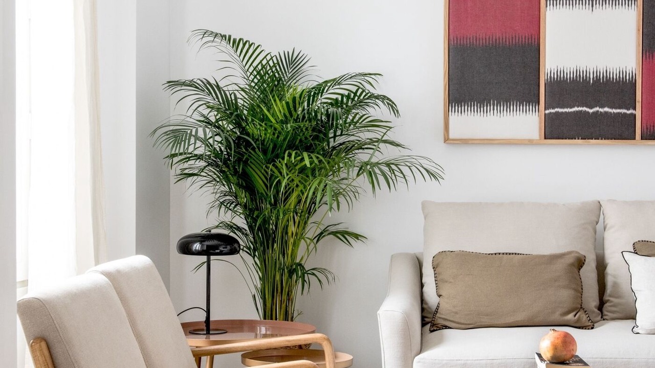 Photo of Livingroom in Alfalfa