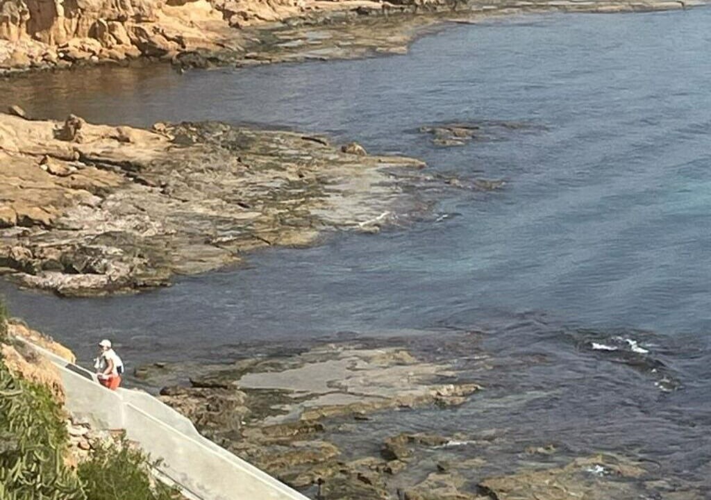 Photo of Others in Torrevieja