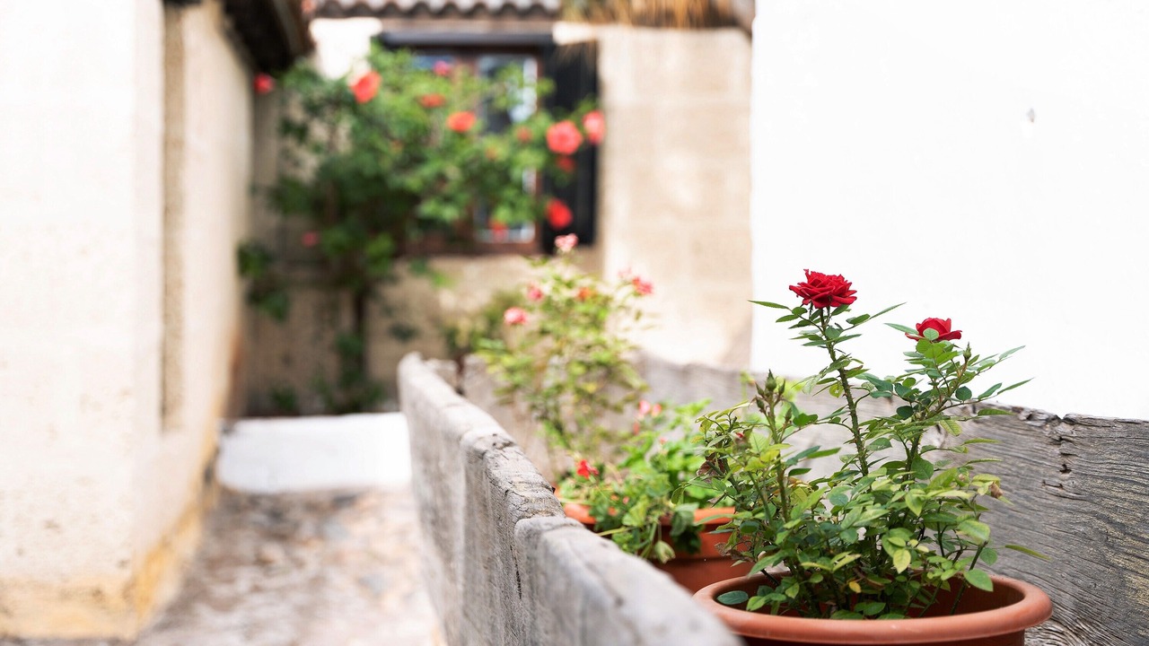 Photo of Outdoor in Arico el Nuevo