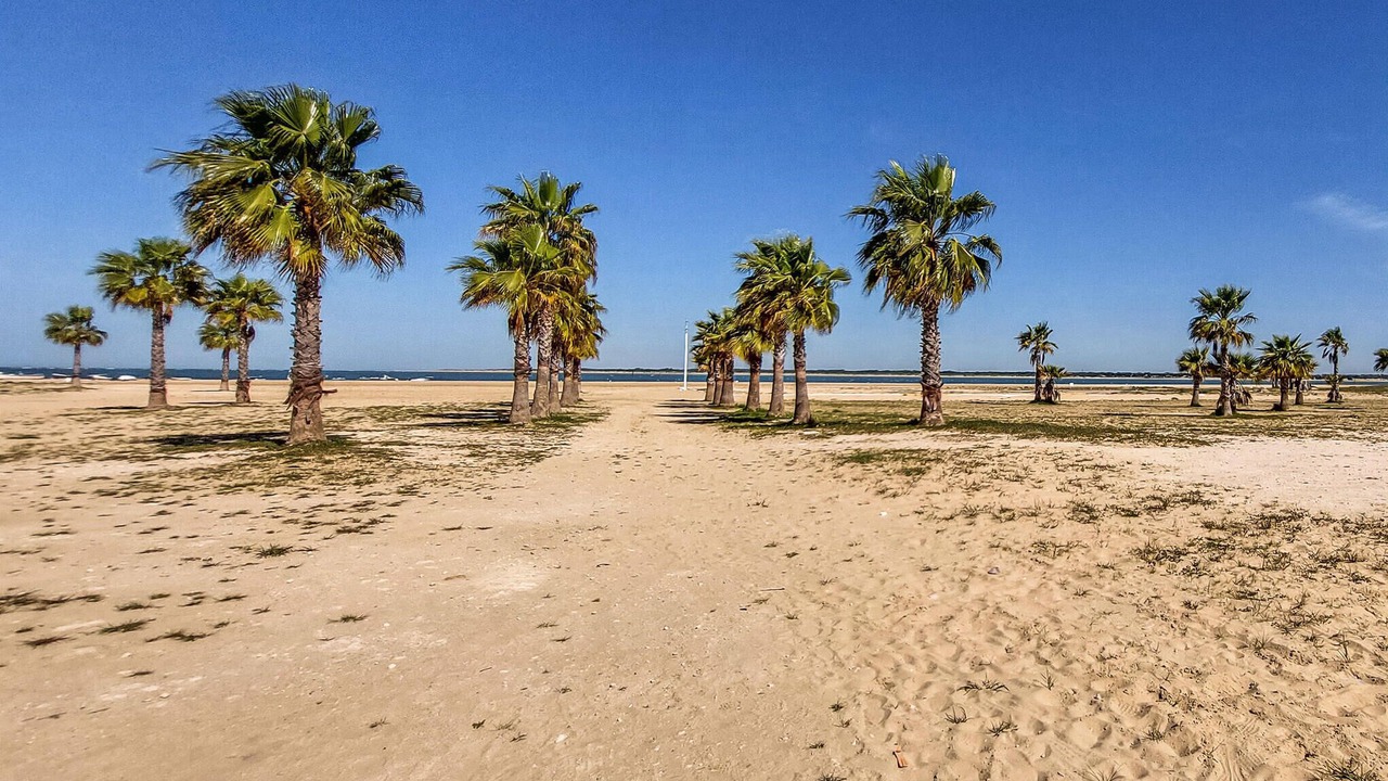 Photo of Others in Sanlucar de Barrameda