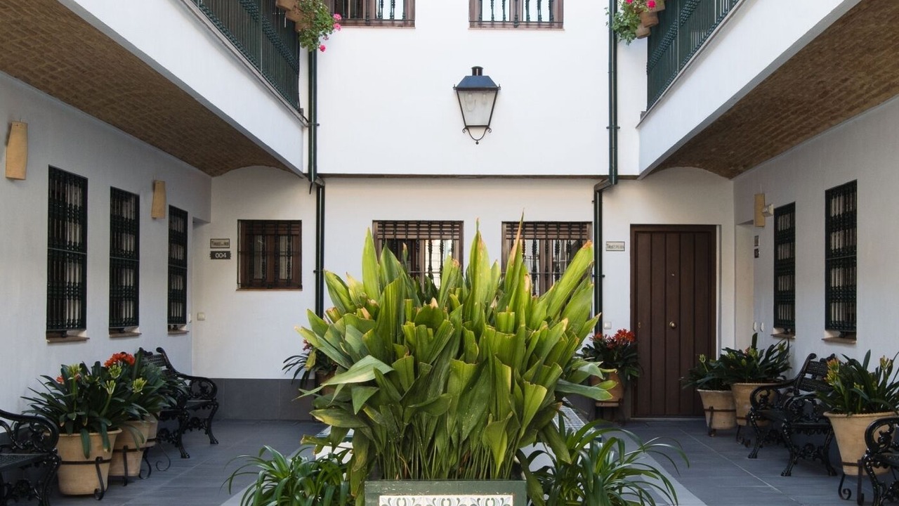 Photo of Outdoor in Triana