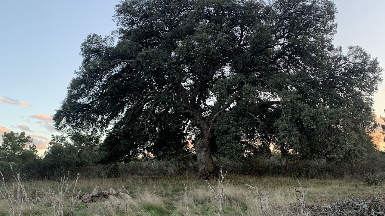 Photo of Outdoor in Arahuetes