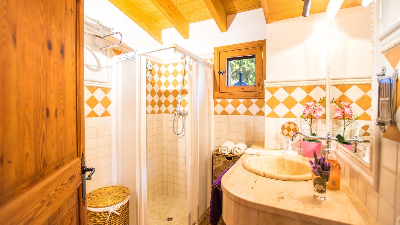 Photo of Bathroom in Selva