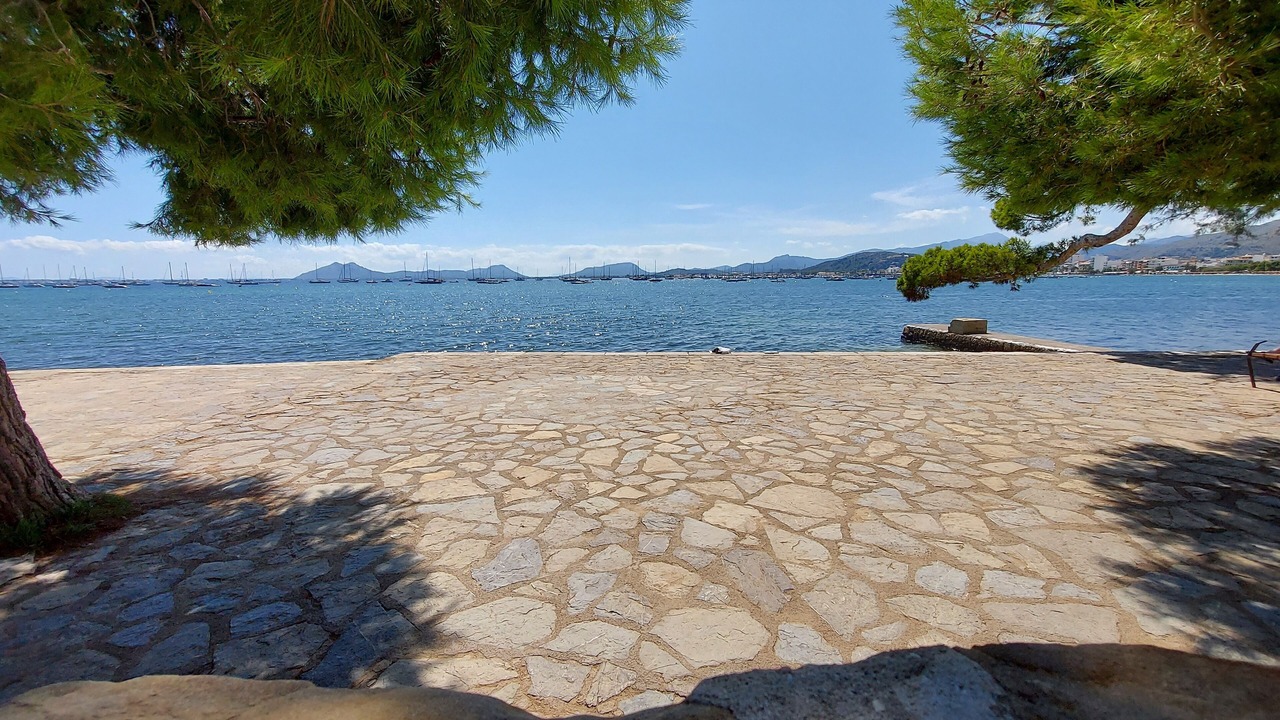 Photo of Others in Puerto de Pollensa