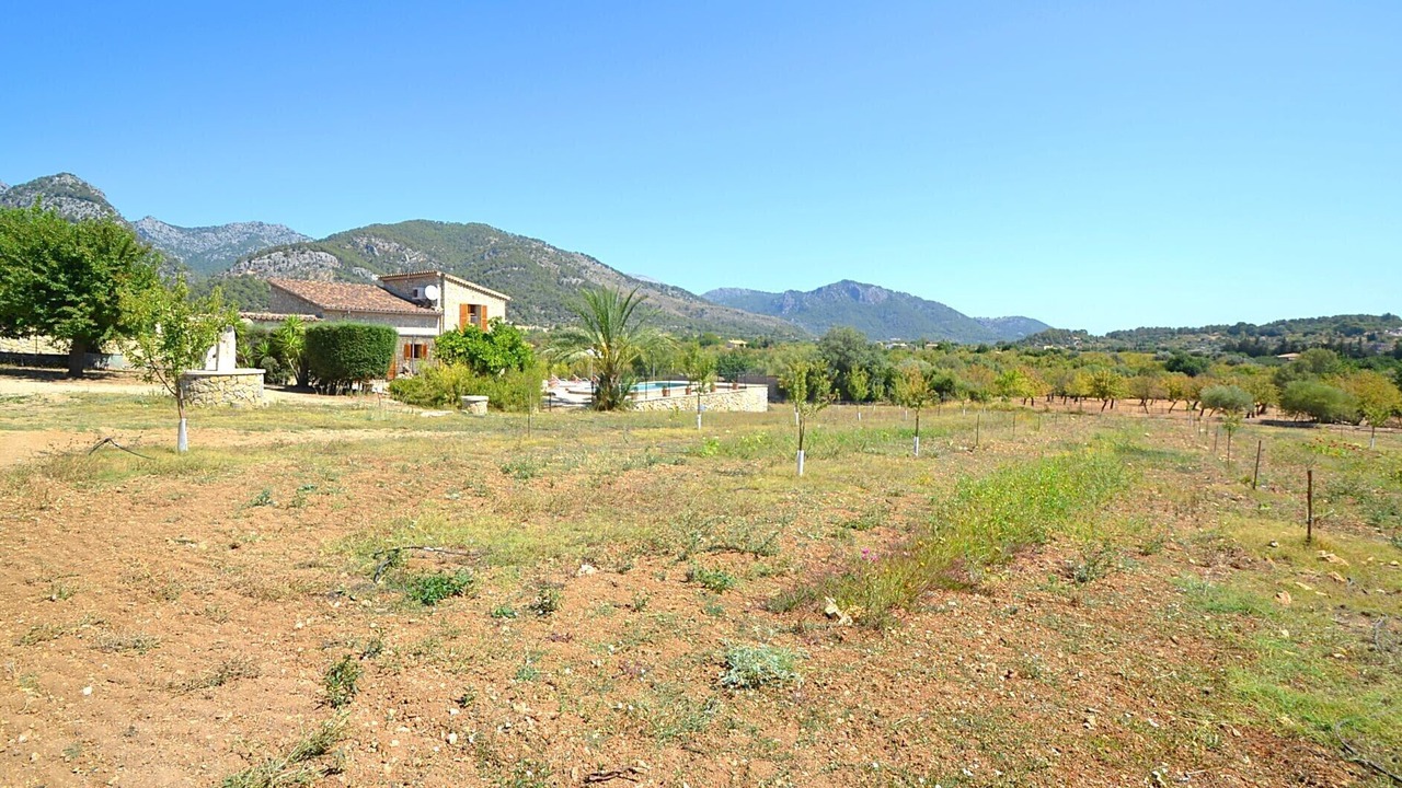 Photo of Outdoor in Selva