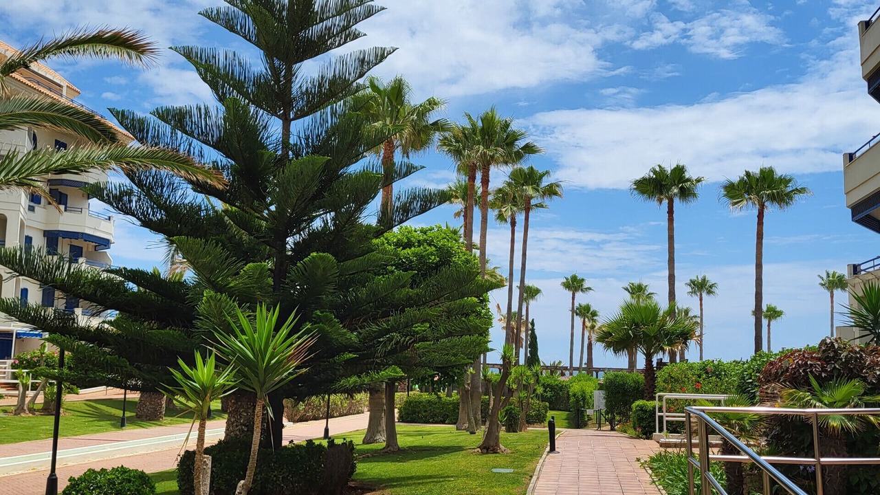 Photo of Outdoor in San Luis de Sabinillas