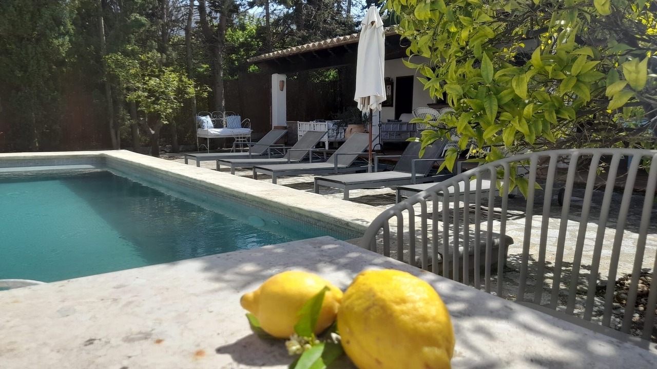 Photo of Outdoor in Puerto de Soller