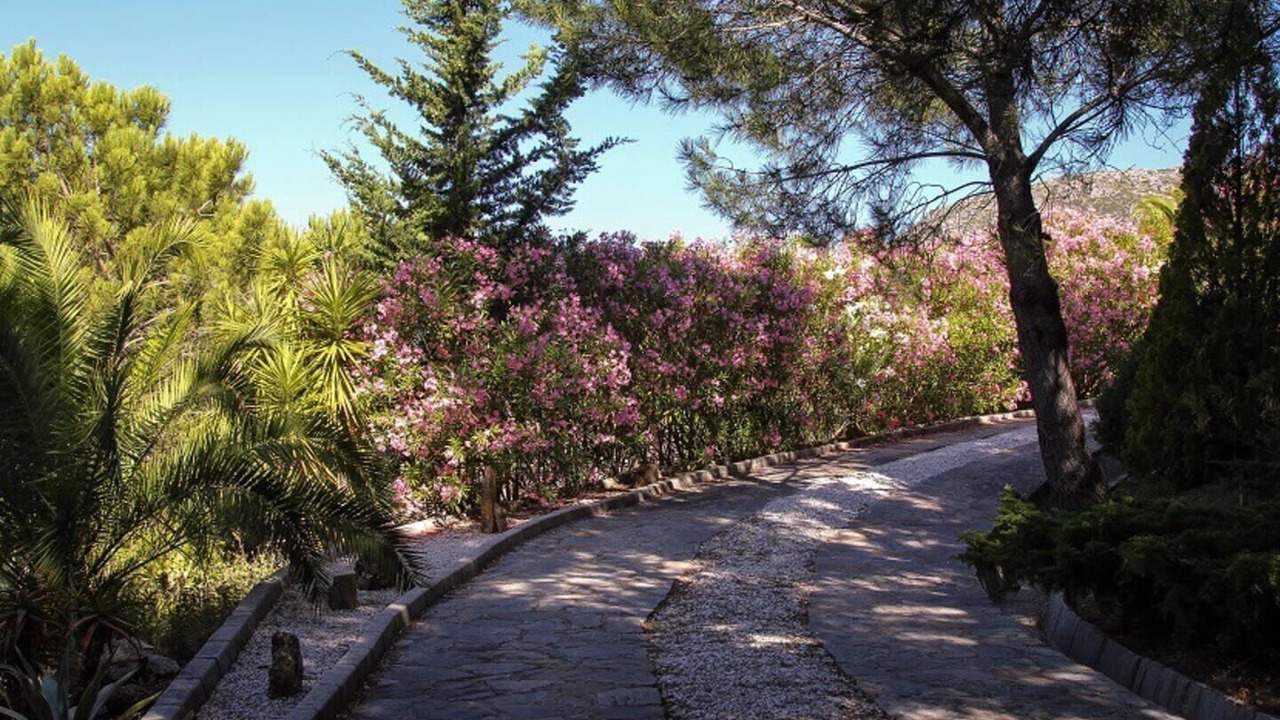 Photo of Others in Casares