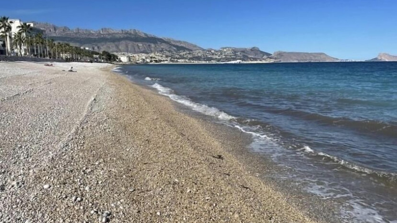 Photo of Others in El Albir