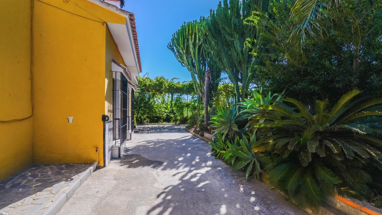 Photo of Outdoor in Alhaurin de la Torre