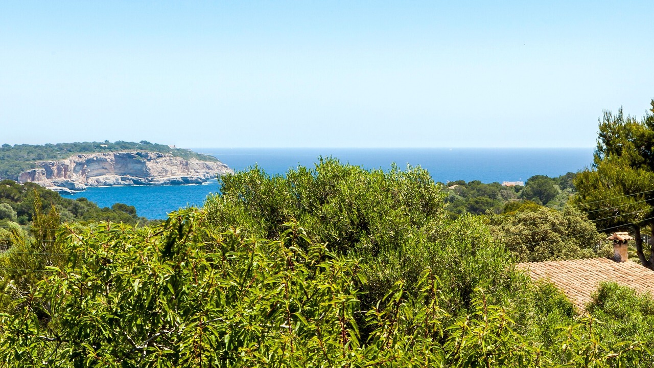 Photo of Others in Cala Llombards