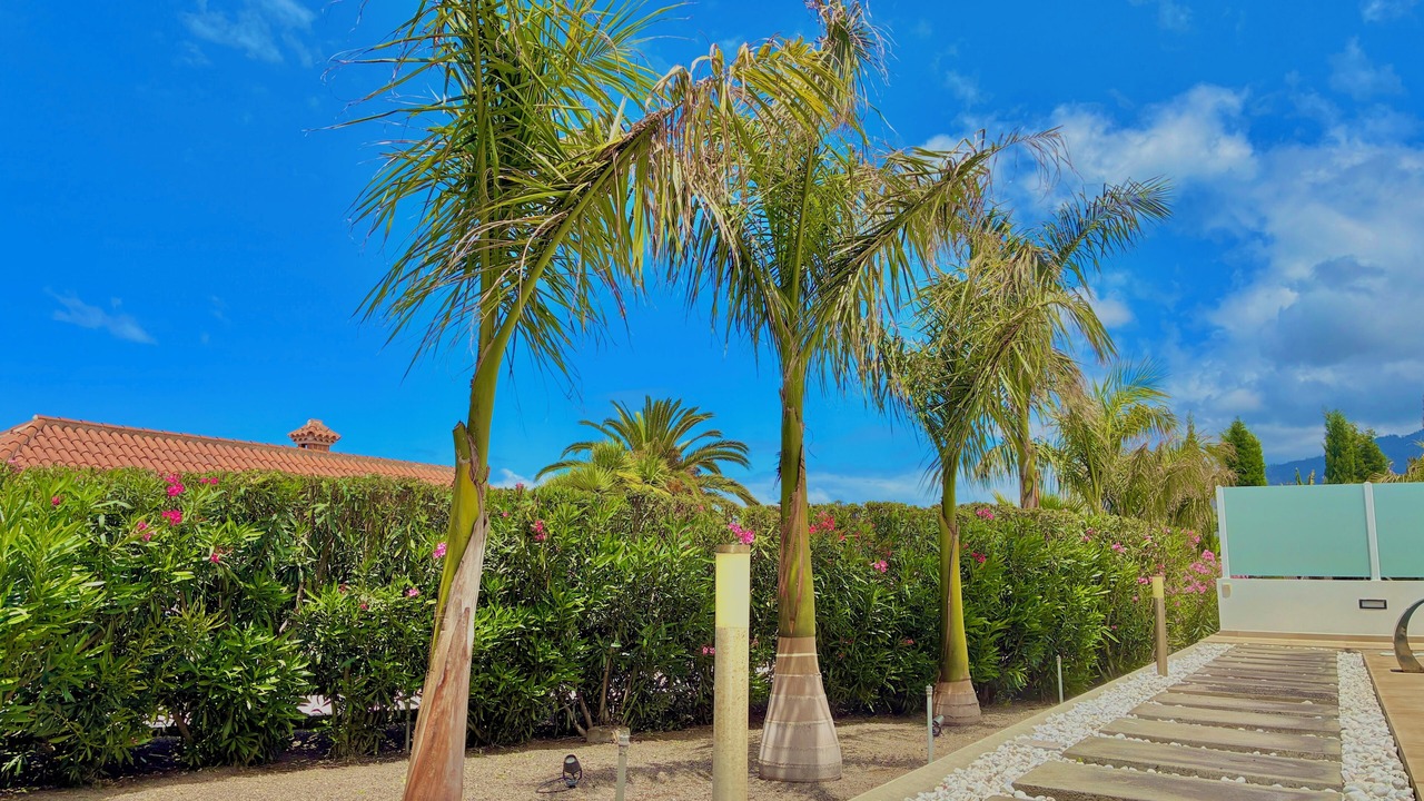 Photo of Outdoor in Tajuya