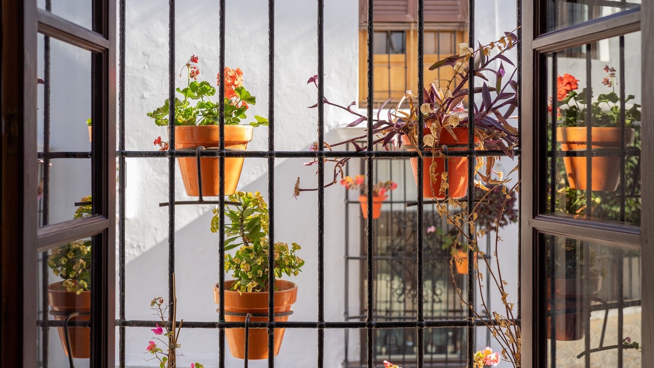 Photo of Others in Historic Center of Estepona