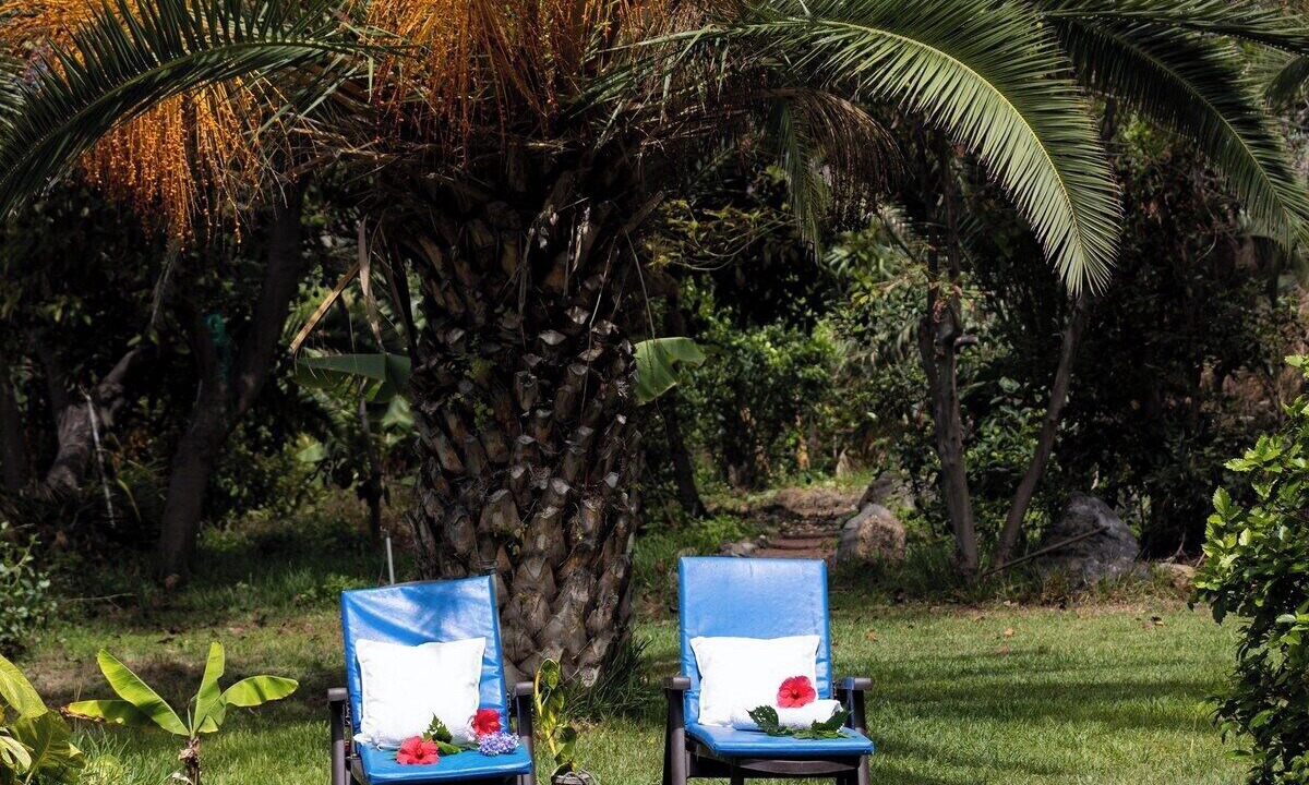Photo of Outdoor in Los Realejos