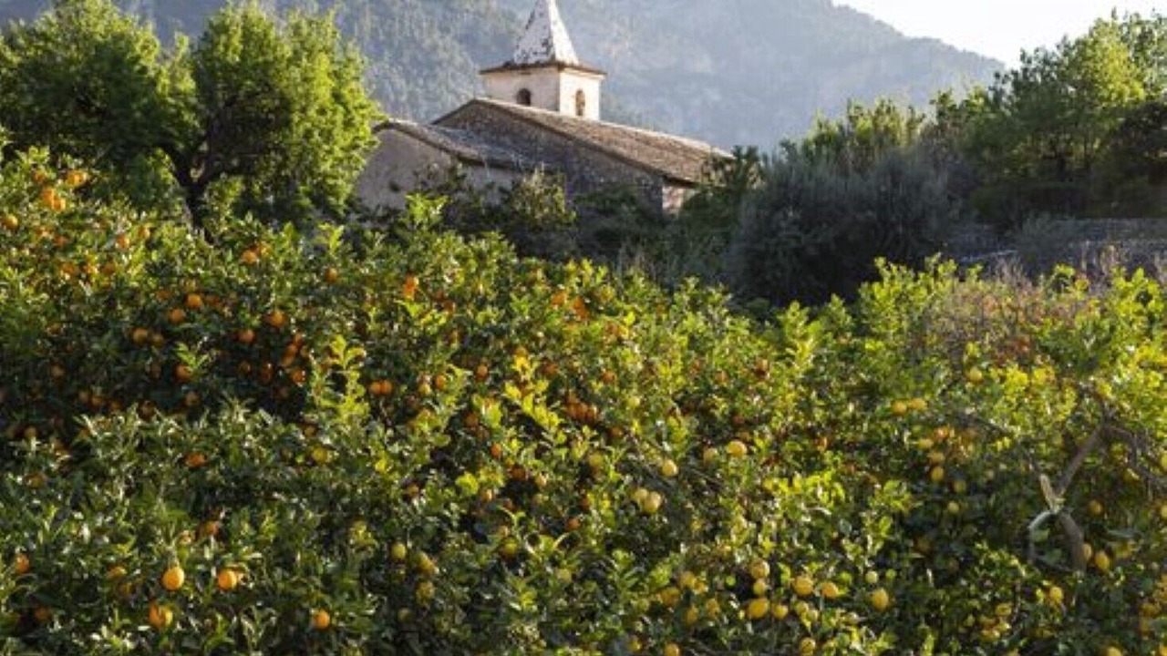 Photo of Others in Biniaraix