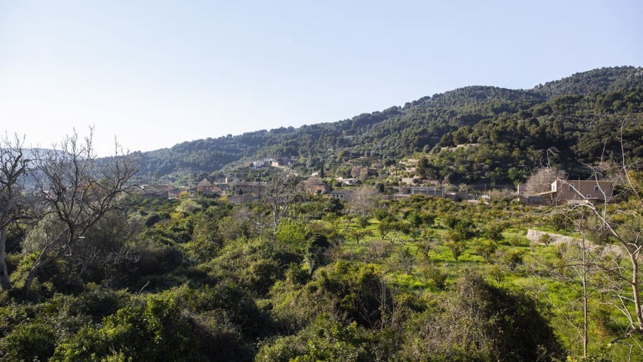 Photo of Others in Biniaraix