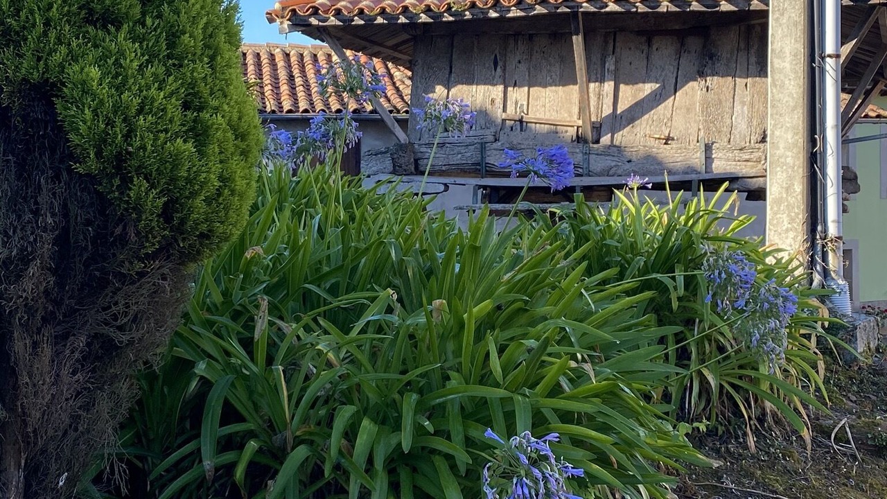 Photo of Outdoor in Priesca
