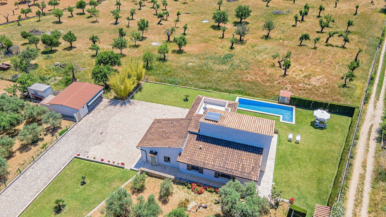 Photo of Outdoor in Selva