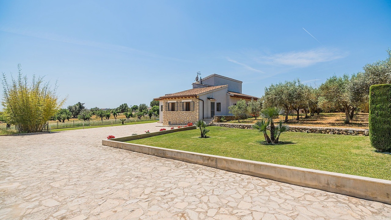 Photo of Outdoor in Selva