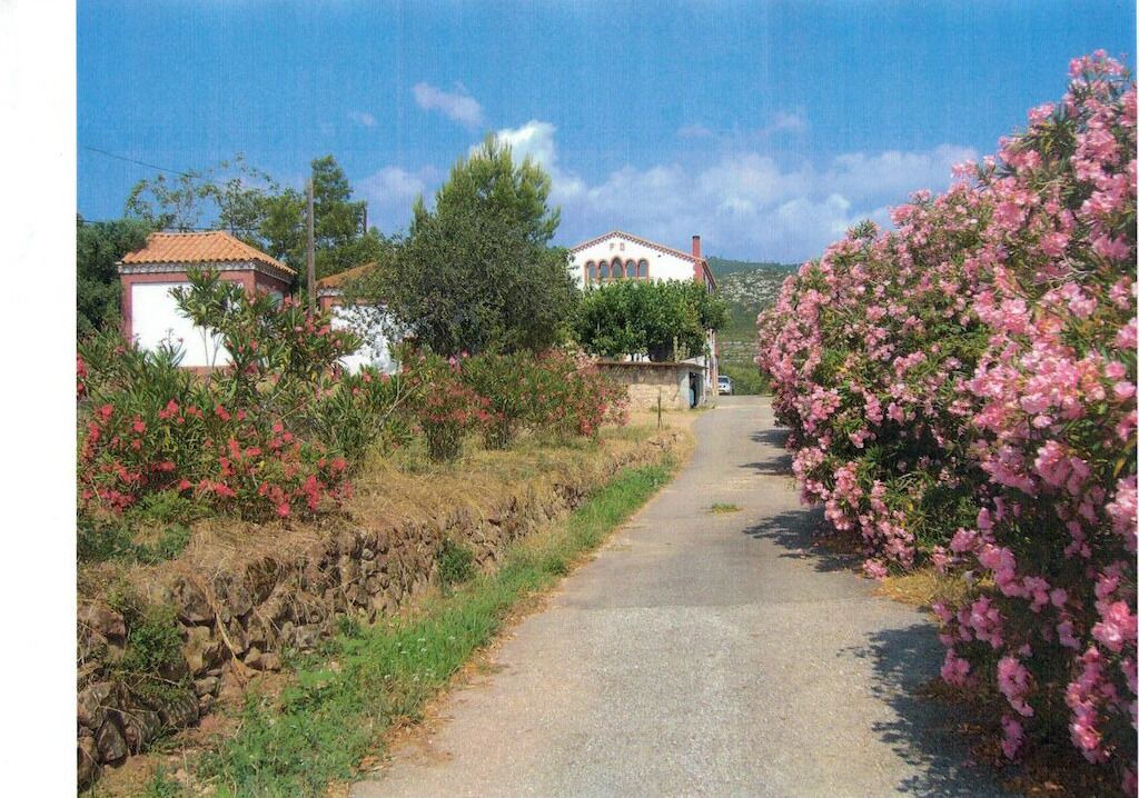 Photo of Outdoor in Alcover