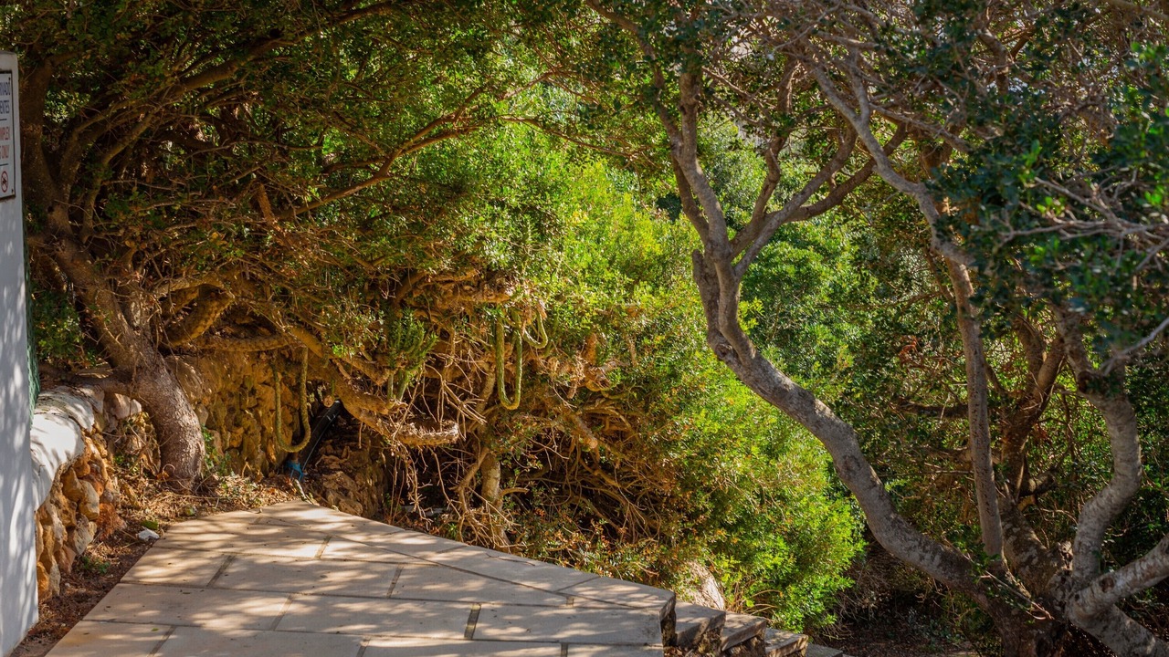 Photo of Outdoor in Cales Piques