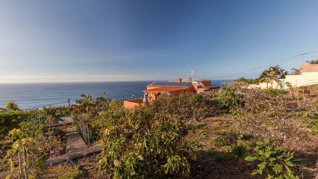 Photo of Others in La Orotava