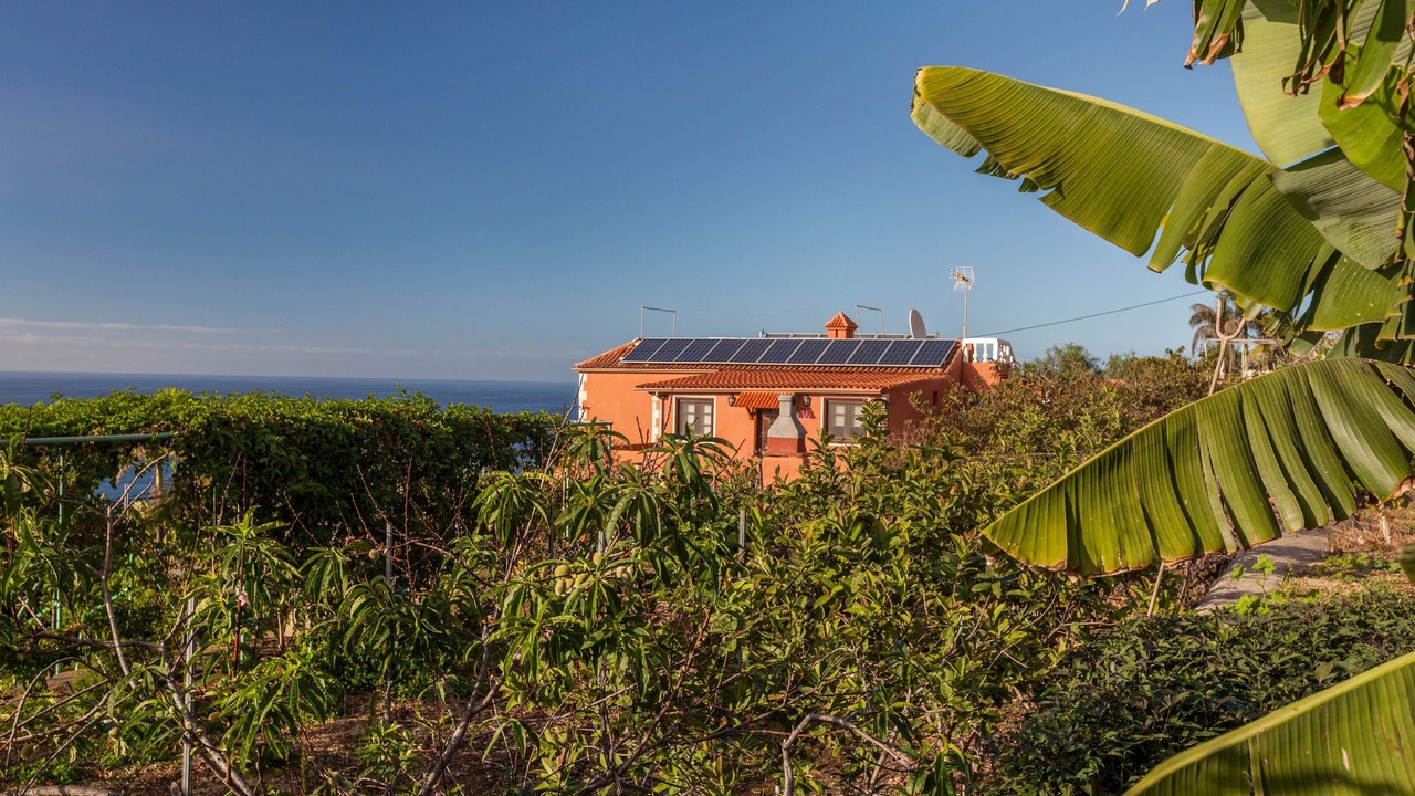 Photo of Outdoor in La Orotava