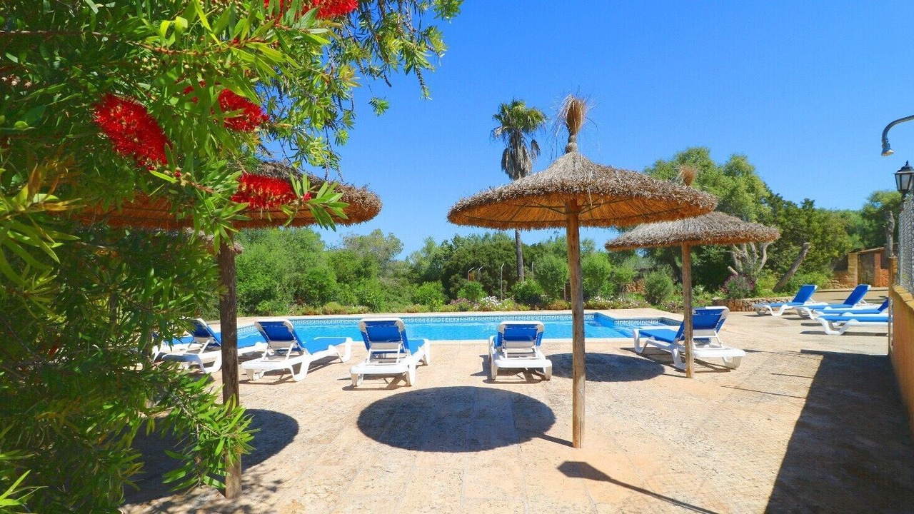 Photo of Outdoor in Campos