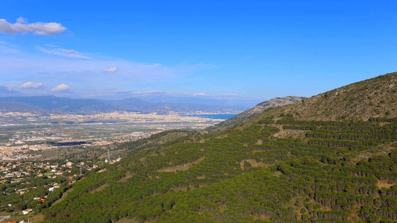 Photo of Others in Alhaurin de la Torre