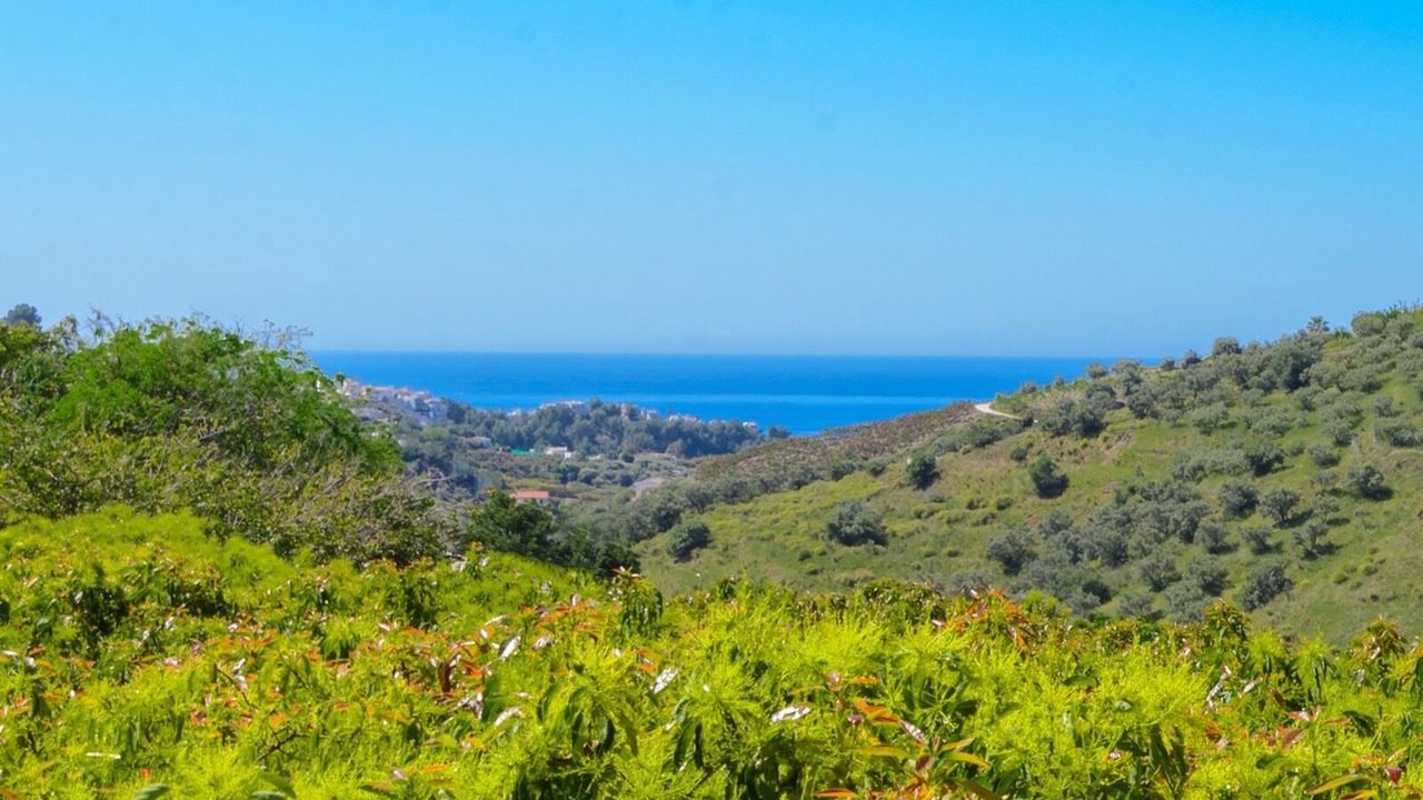 Photo of Others in Frigiliana