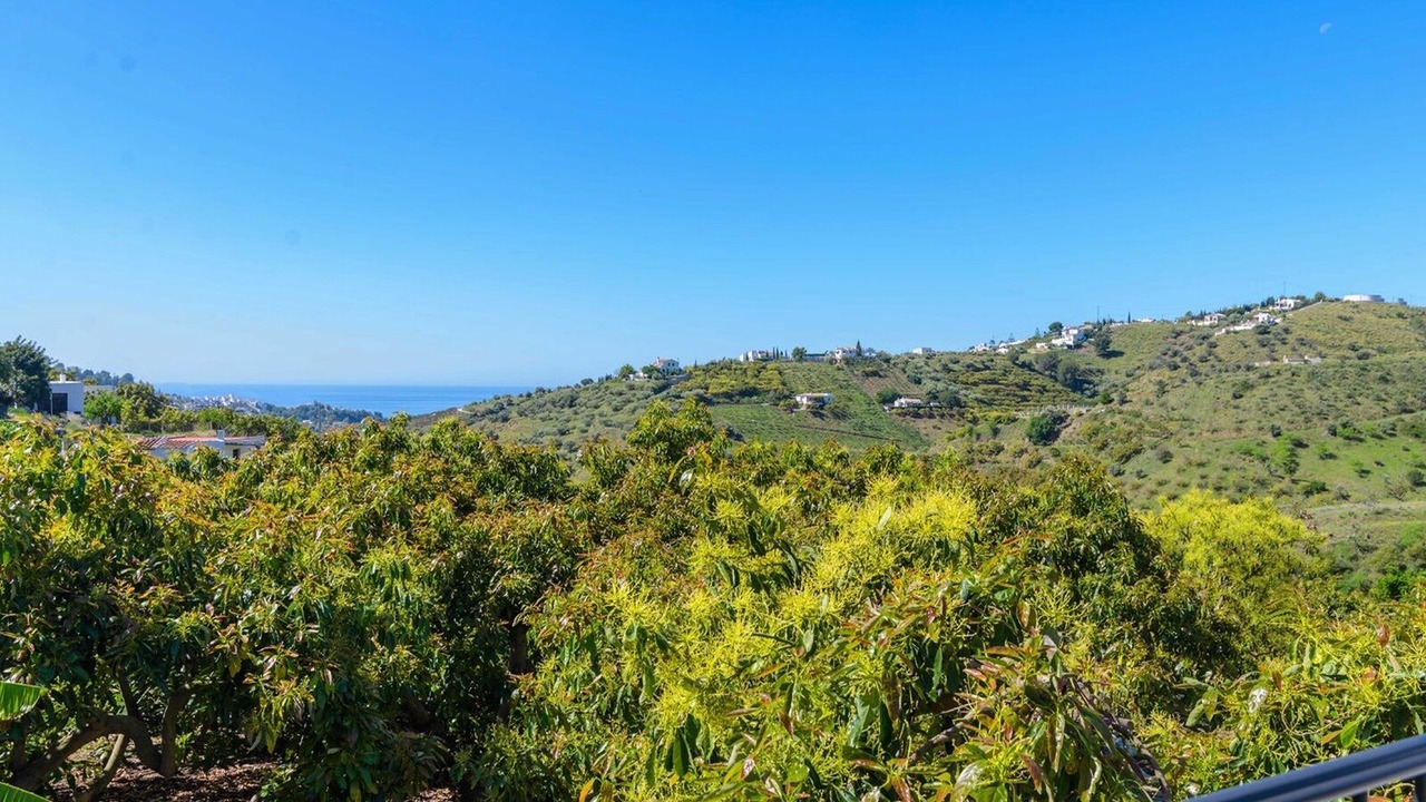 Photo of Others in Frigiliana