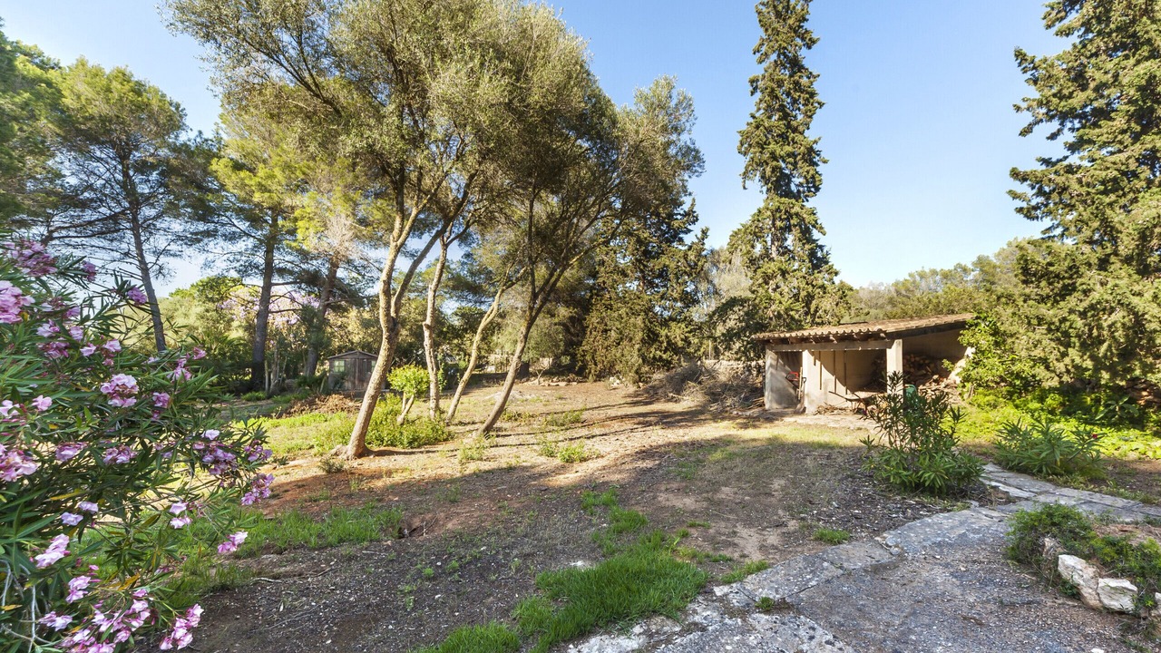 Photo of Outdoor in l'Aranjassa