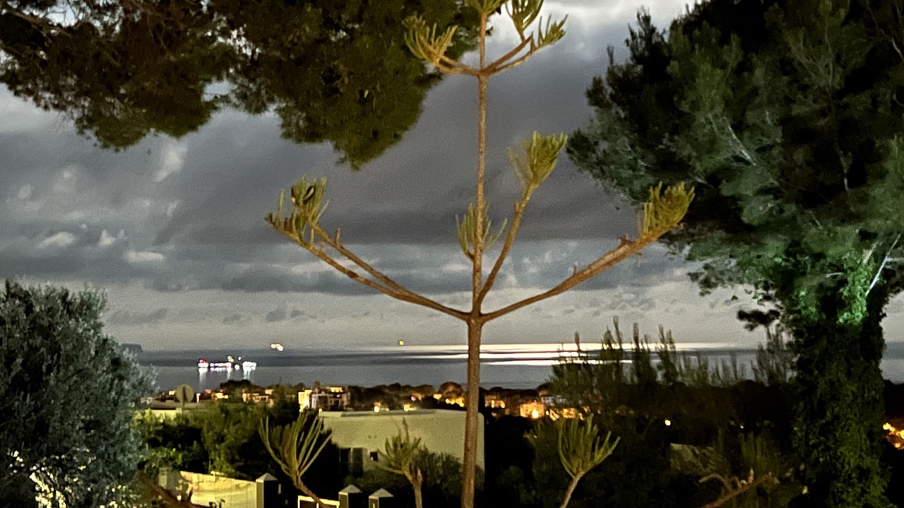 Photo of Outdoor in Calvia