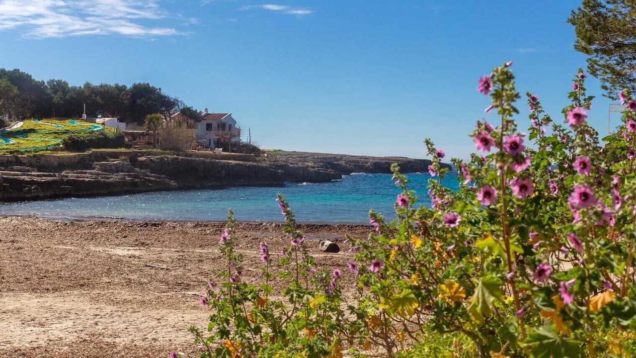 Photo of Others in Cala Blanca