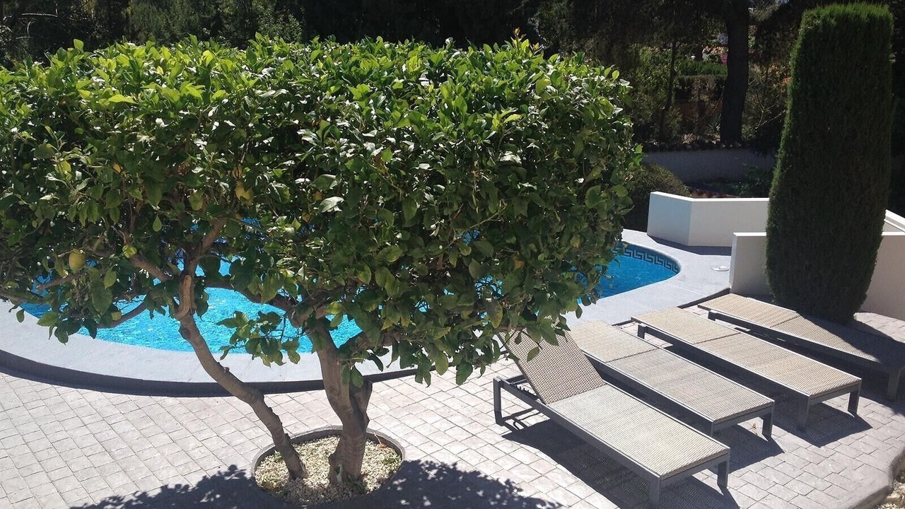 Photo of Outdoor in Benissa Coast