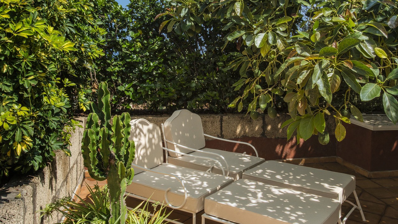 Photo of Patio Balcony in Los Gomez