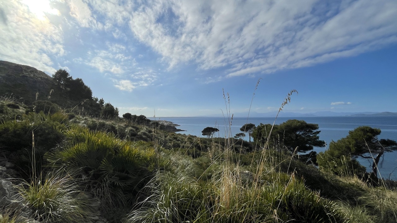 Photo of Others in Betlem de Marina
