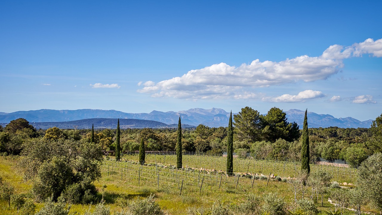 Photo of Outdoor in Algaida
