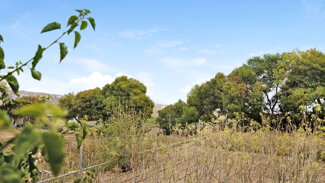 Photo of Outdoor in Granadilla de Abona