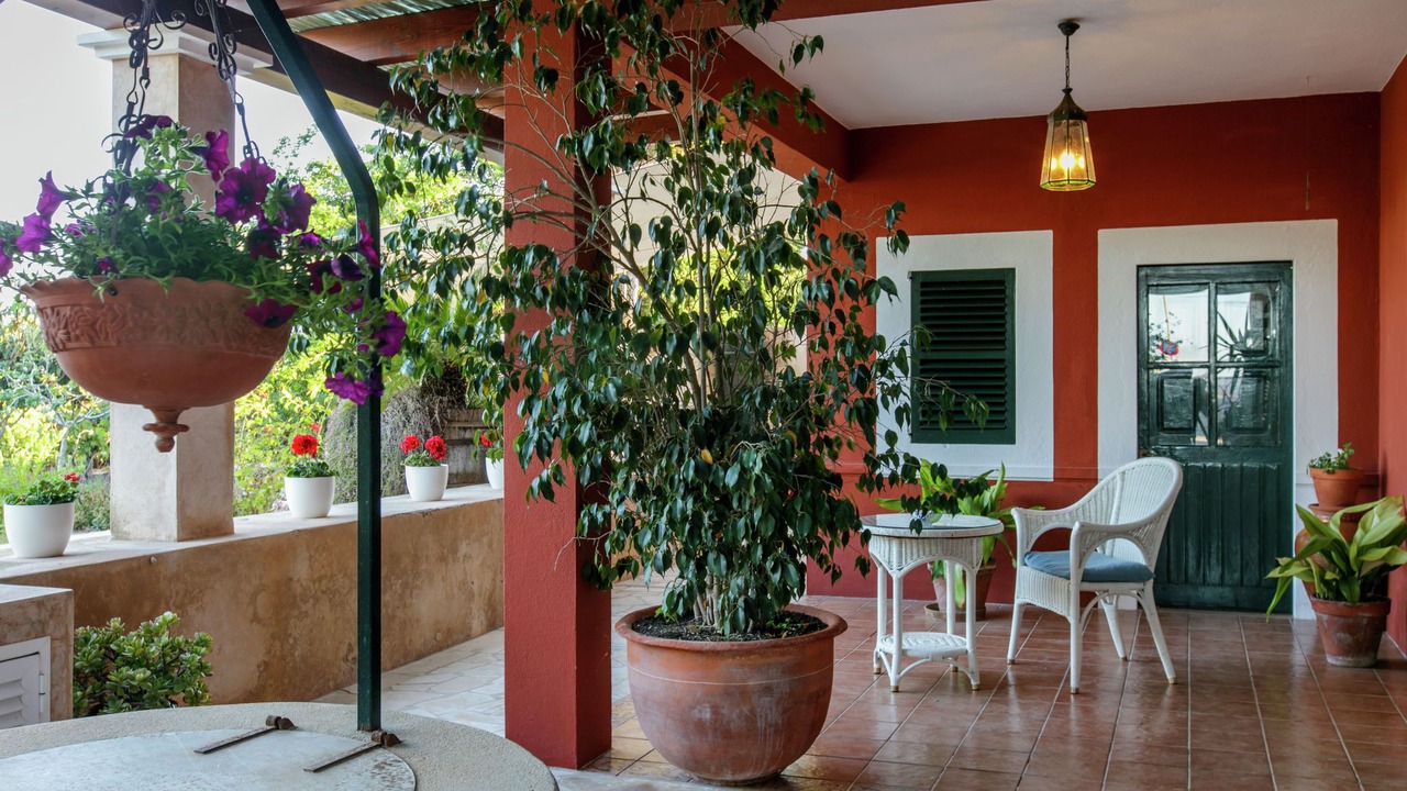 Photo of Patio Balcony in Sant Josep de sa Talaia