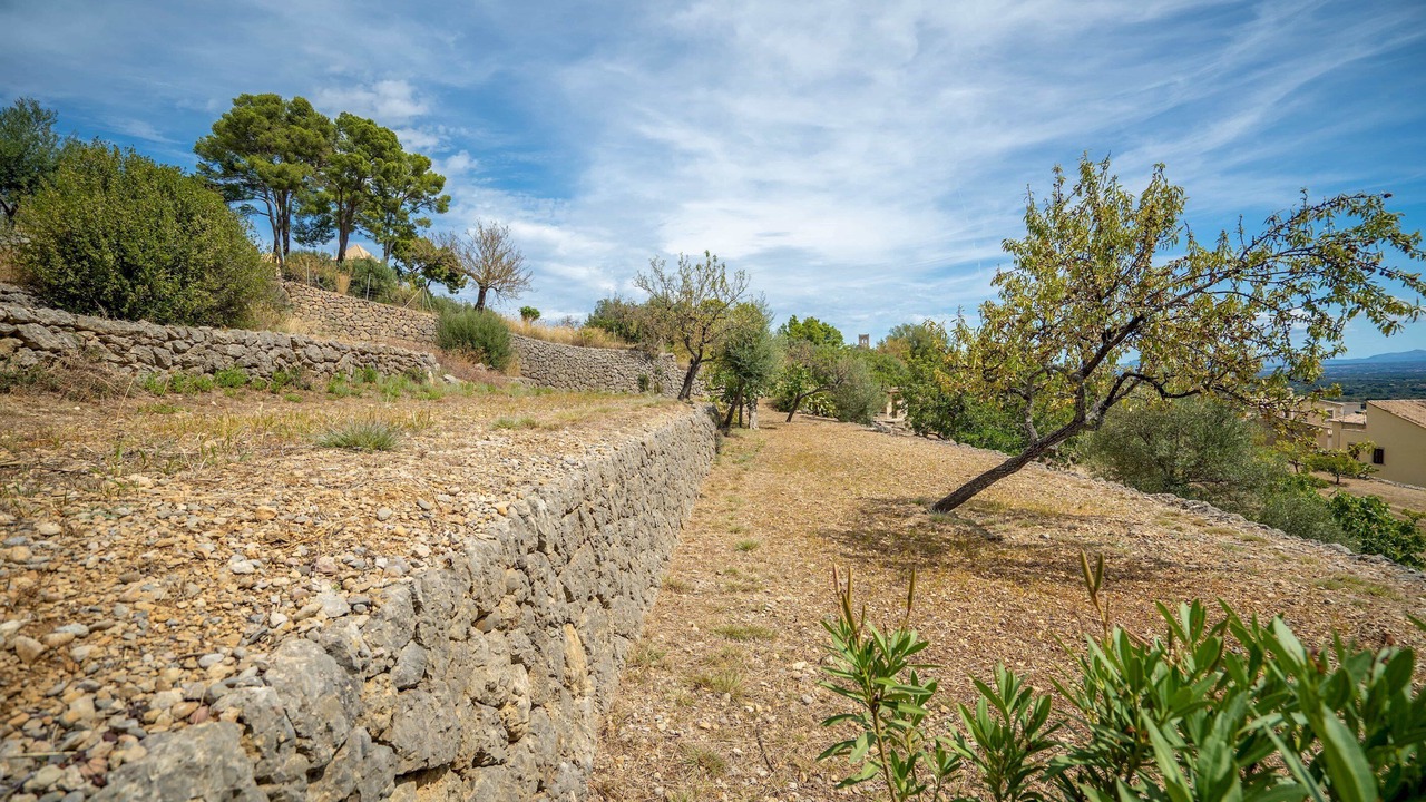 Photo of Outdoor in Selva