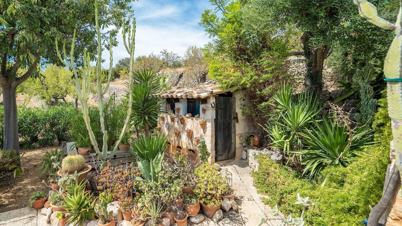Photo of Outdoor in Selva