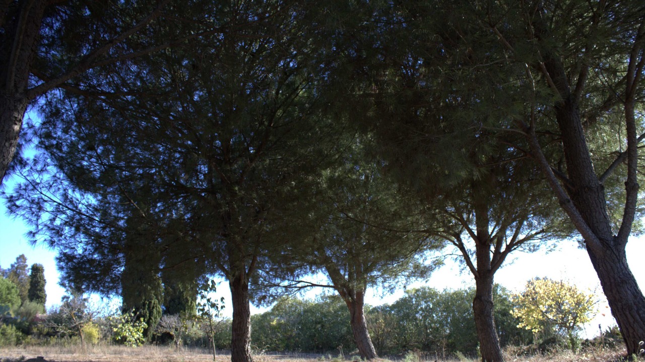 Photo of Outdoor in Moguer